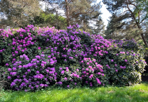 23-06-03 16-37-50 5787